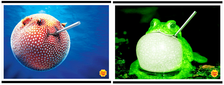 1_copy6.gif